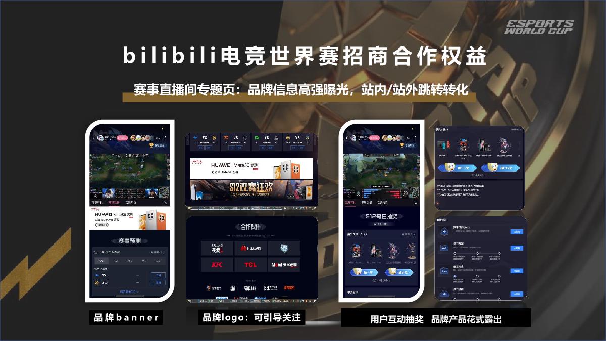 2024bilibili 沙特电竞世界杯招商合作方案.pdf