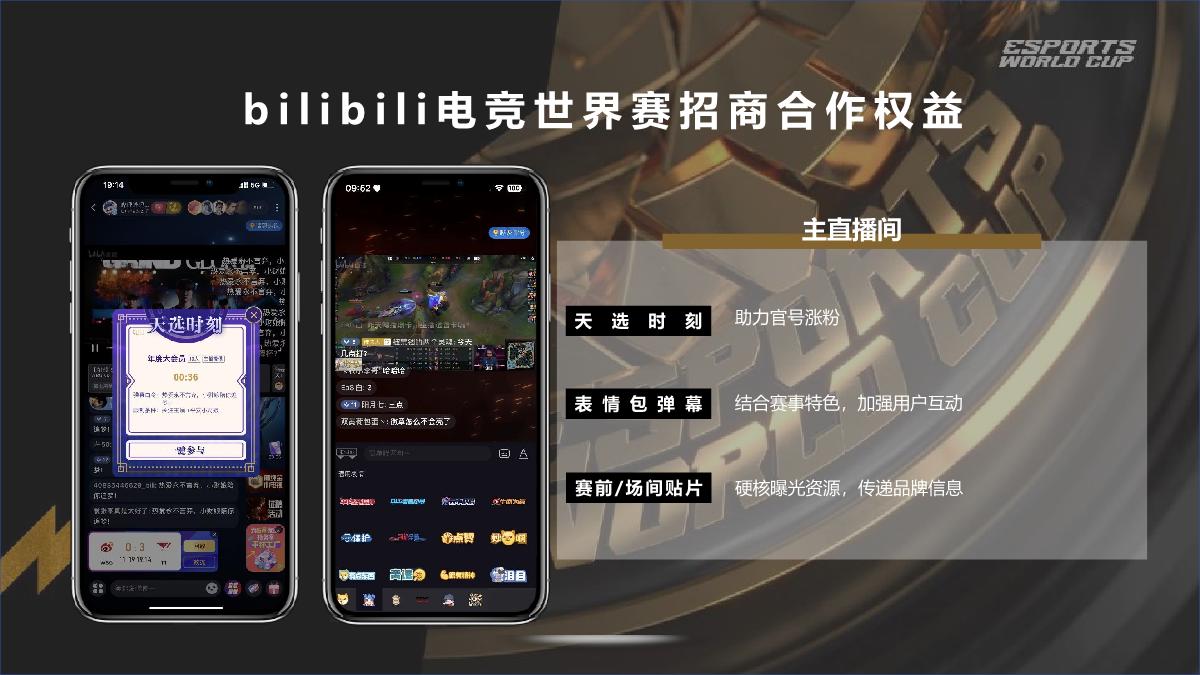 2024bilibili 沙特电竞世界杯招商合作方案.pdf