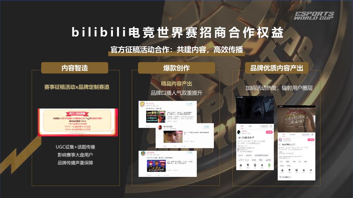 2024bilibili 沙特电竞世界杯招商合作方案.pdf