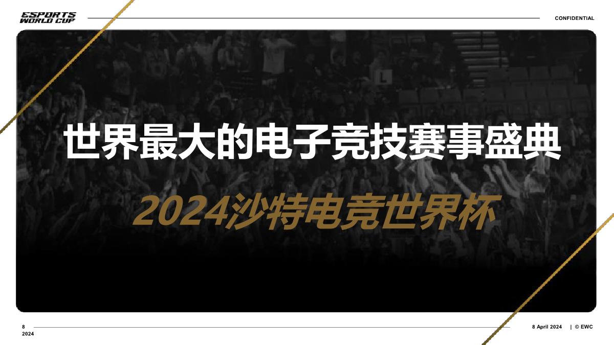 2024bilibili 沙特电竞世界杯招商合作方案.pdf