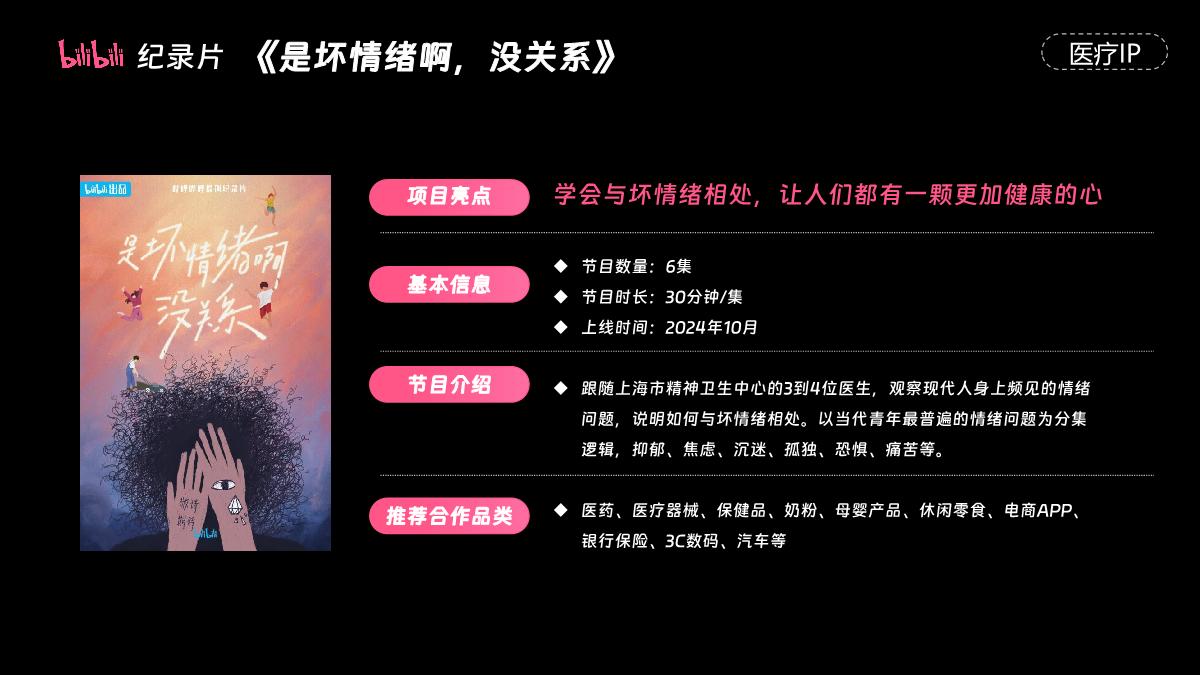 2024H2 哔哩哔哩纪录片合作推荐.pdf