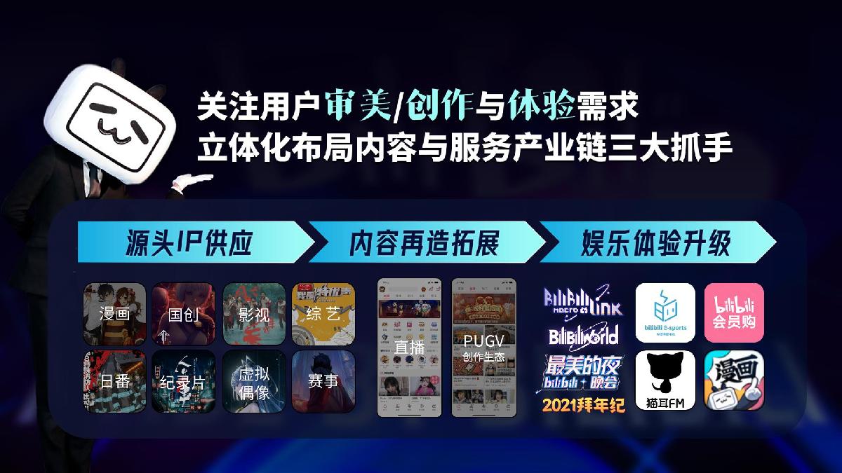 B站2021品牌营销手册.pdf