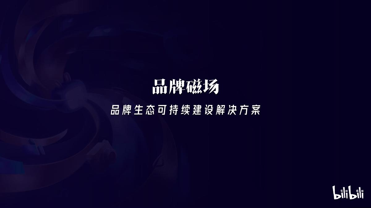 B站品牌磁场1231.pdf