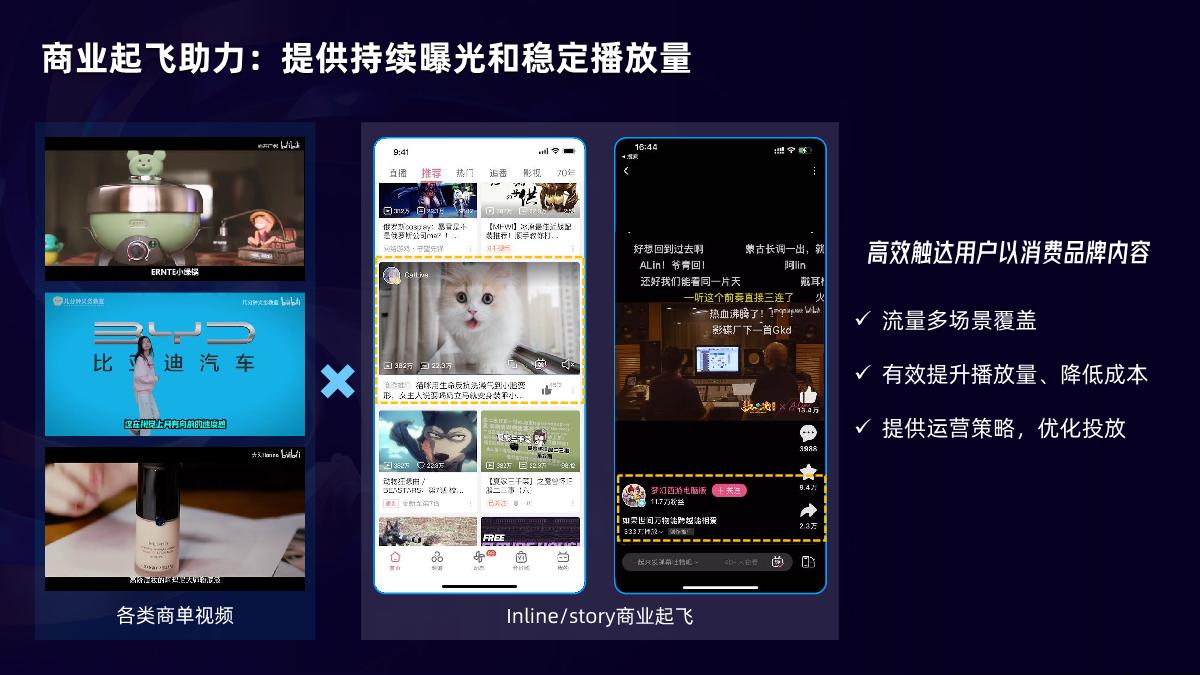 B站品牌磁场1231.pdf