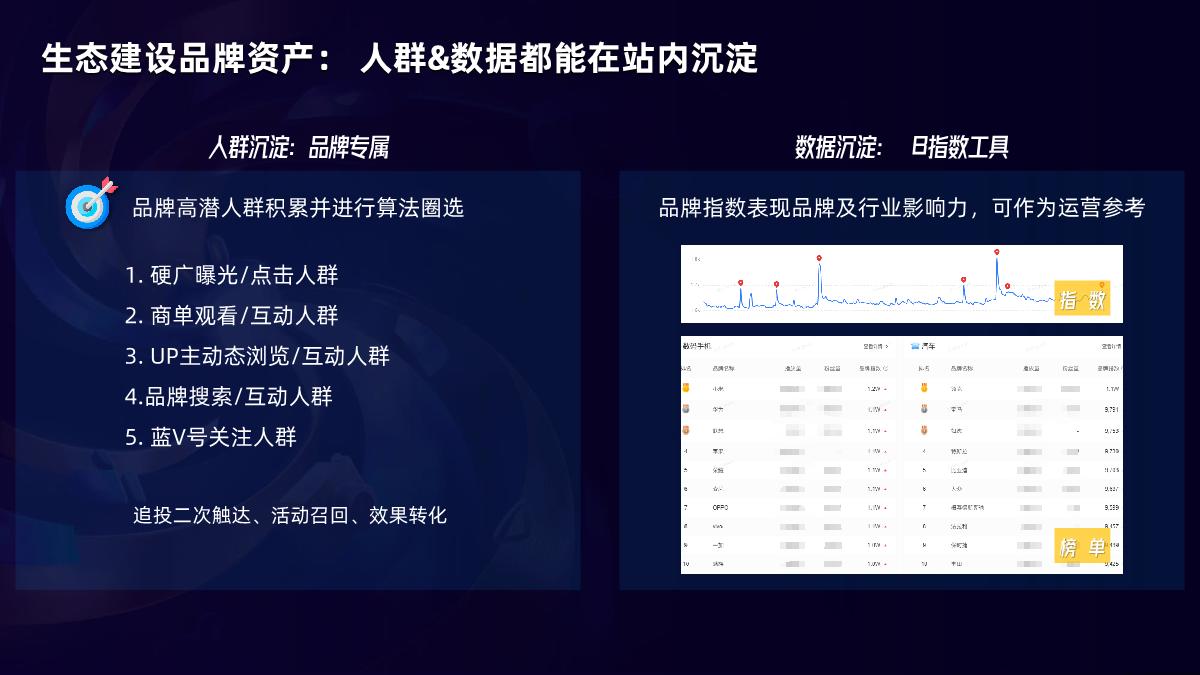 B站品牌磁场1231.pdf