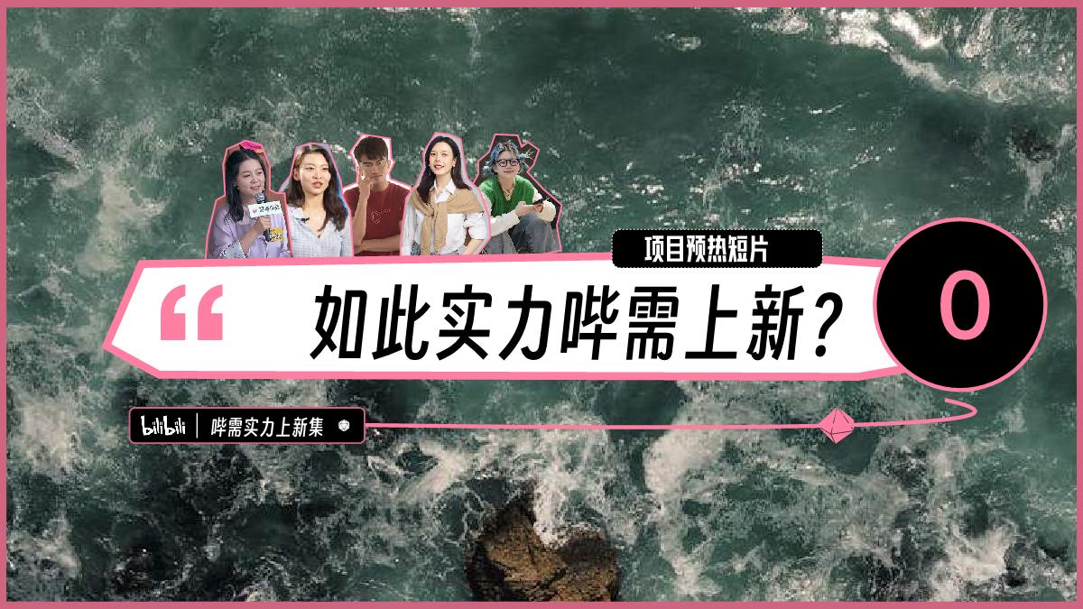 B站自营实力新品营销IP 哔需实力上新集推介案.pdf