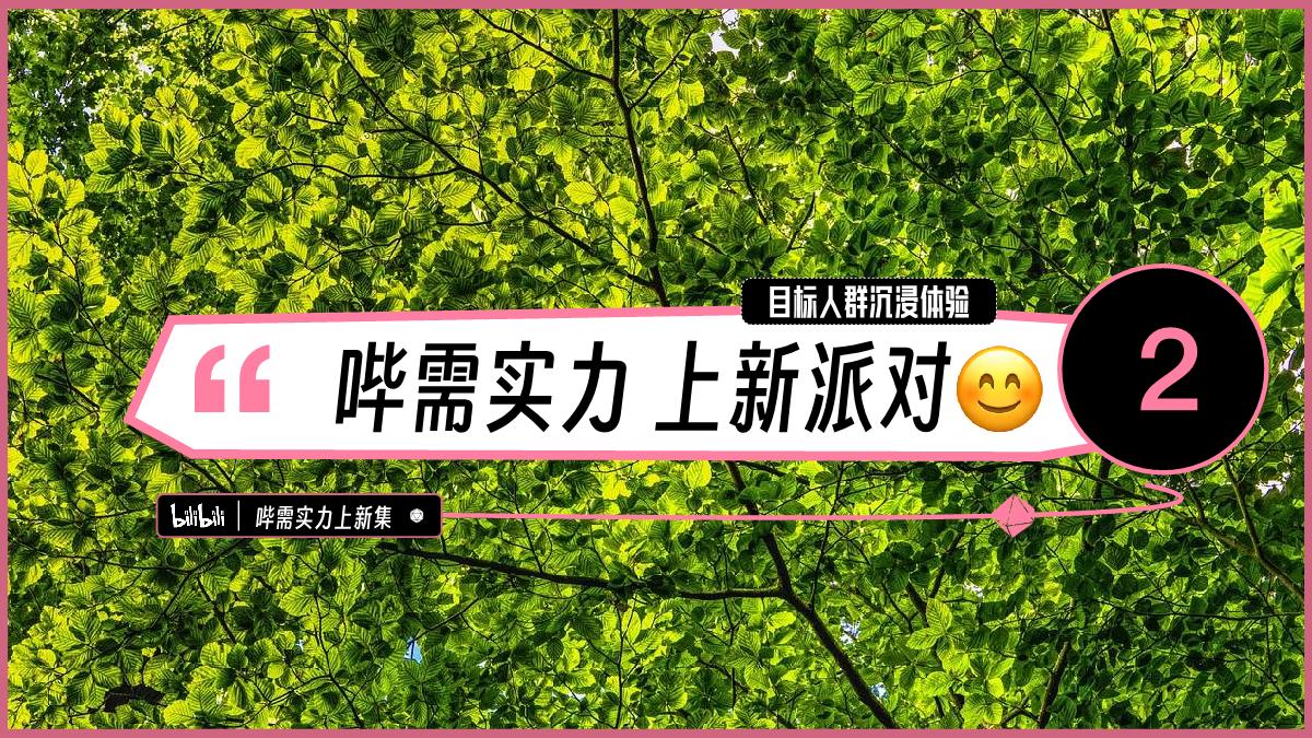 B站自营实力新品营销IP 哔需实力上新集推介案.pdf