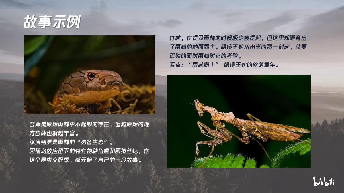 哔哩哔哩纪录片《我们的国家公园》招商通案.pdf