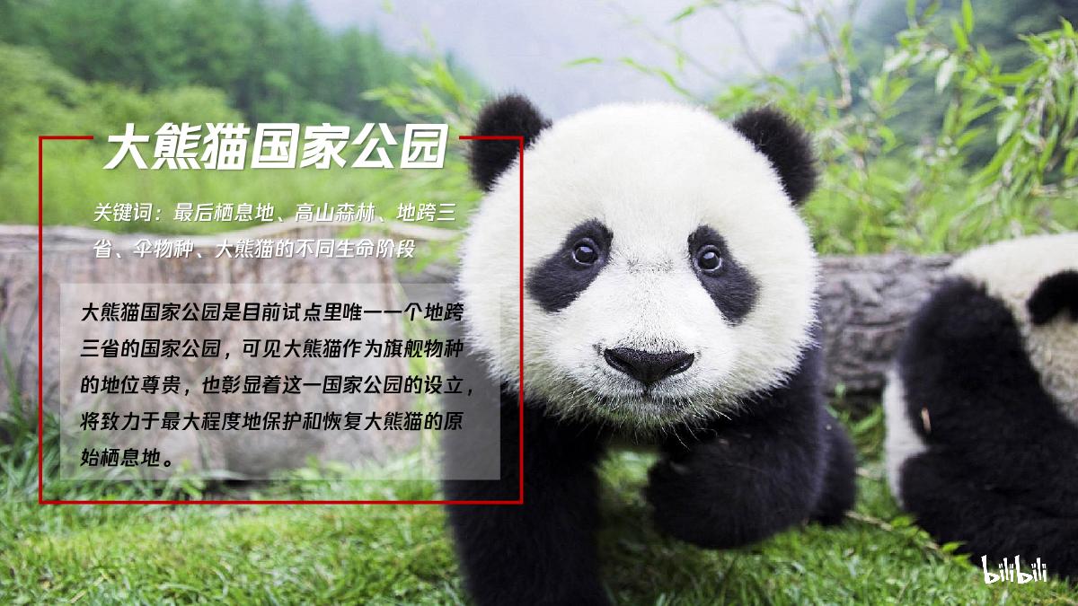 哔哩哔哩纪录片《我们的国家公园》招商通案.pdf