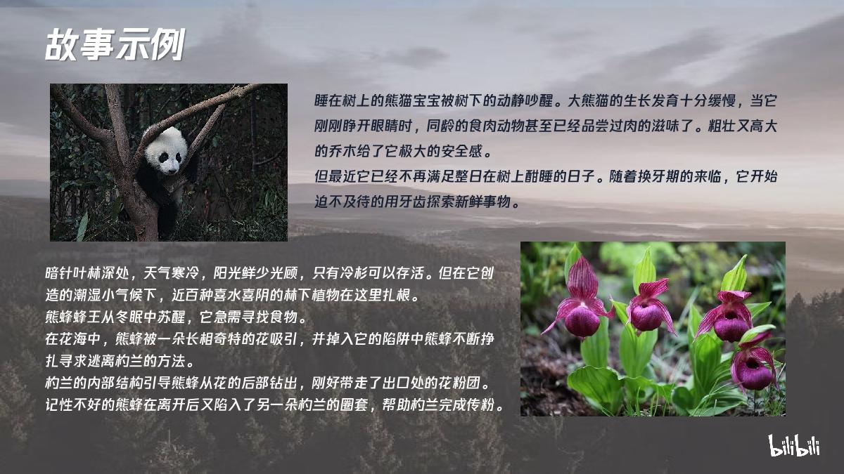 哔哩哔哩纪录片《我们的国家公园》招商通案.pdf