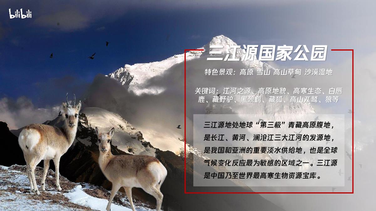 哔哩哔哩纪录片《我们的国家公园》招商通案.pdf