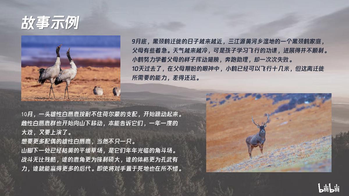 哔哩哔哩纪录片《我们的国家公园》招商通案.pdf