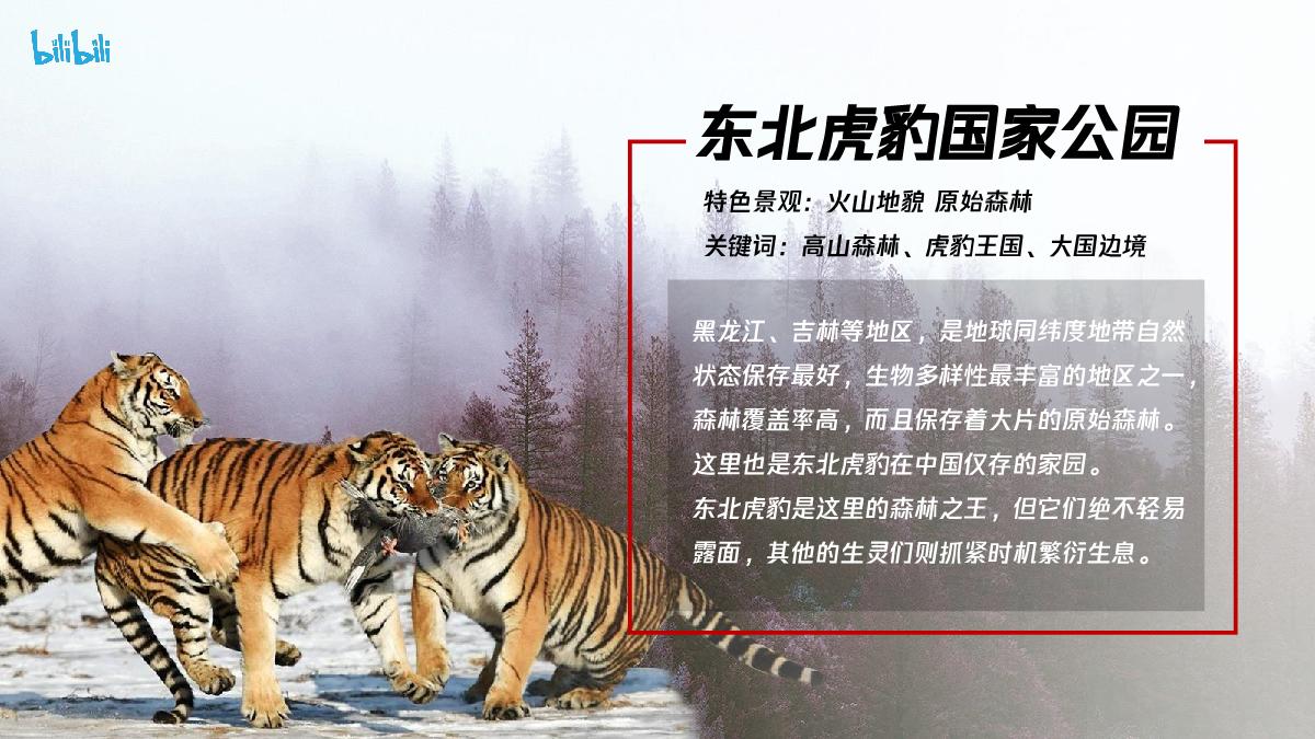 哔哩哔哩纪录片《我们的国家公园》招商通案.pdf