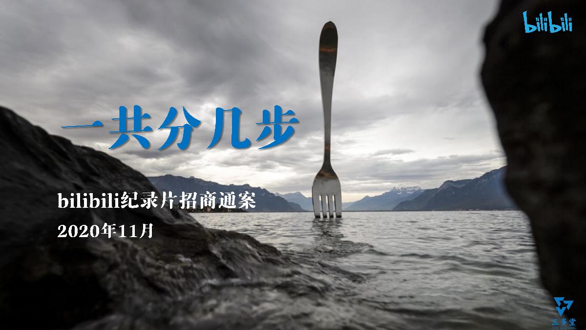 哔哩哔哩纪录片《一共分几步》项目招商方案-1101.pdf