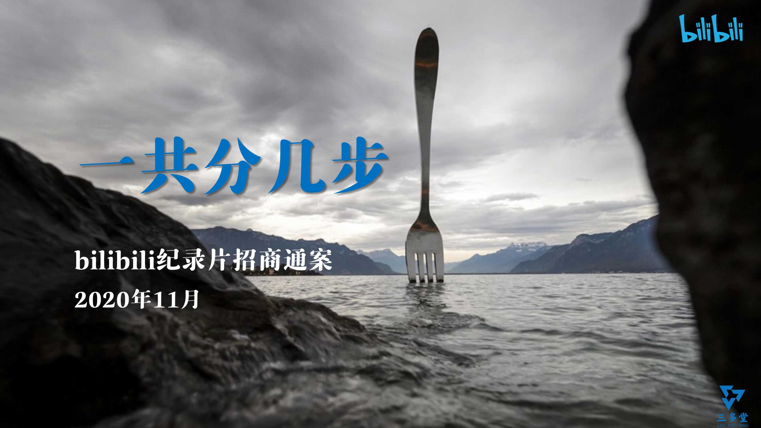 哔哩哔哩纪录片《一共分几步》项目招商方案-1101.pdf