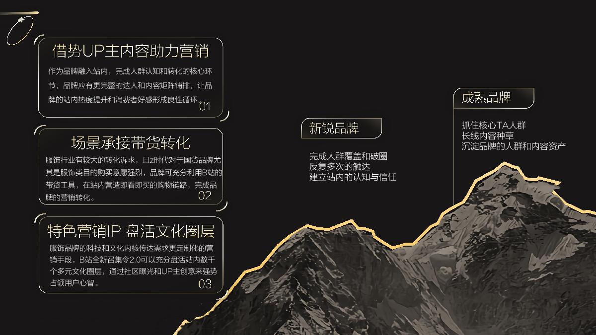 服饰行业UP主投放洞察.pdf