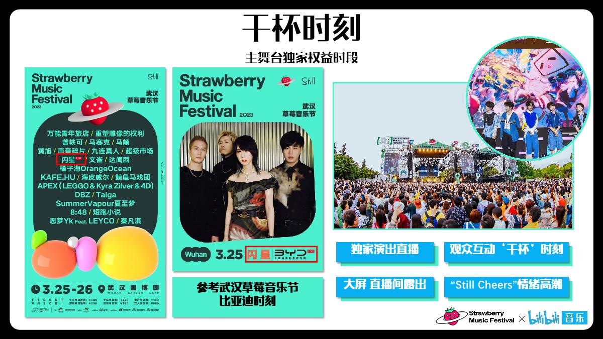 干杯草莓音乐节招商方案.pdf