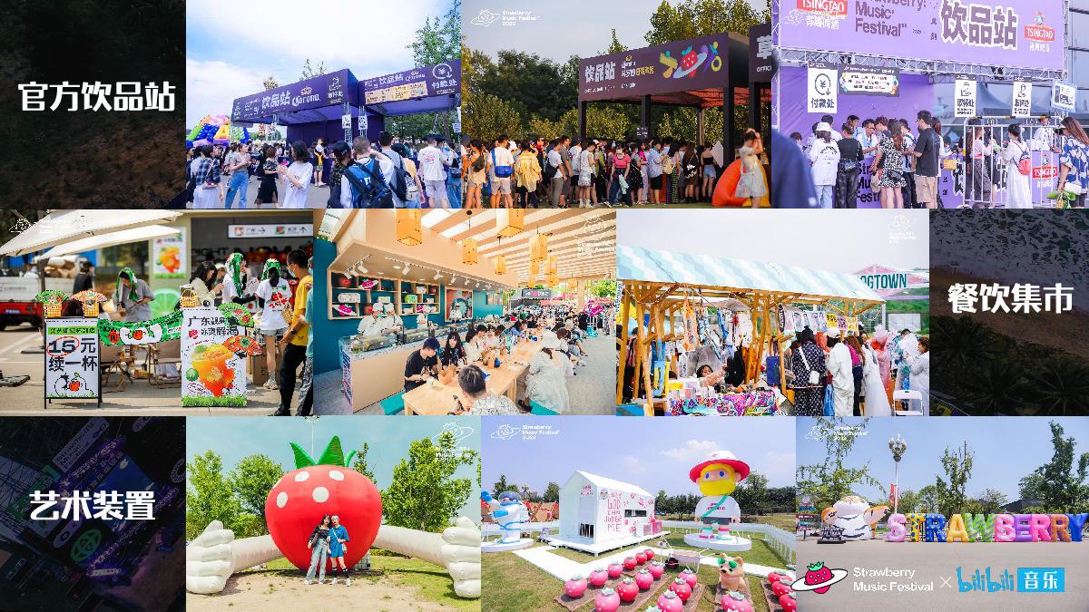 干杯草莓音乐节招商方案.pdf