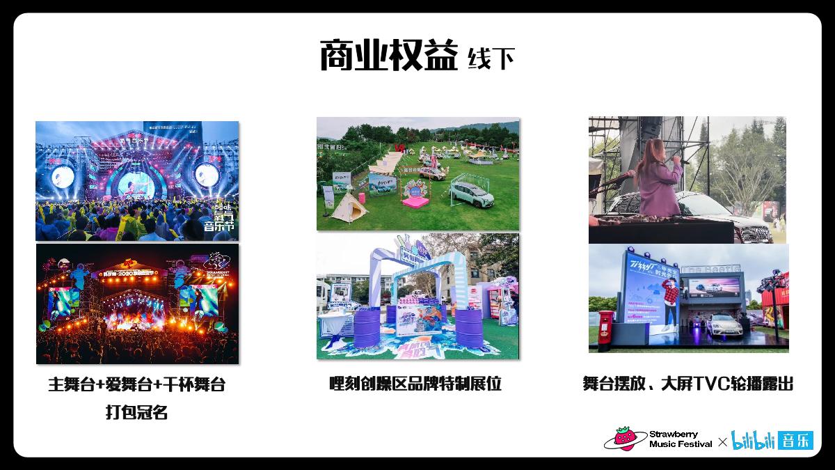 干杯草莓音乐节招商方案.pdf