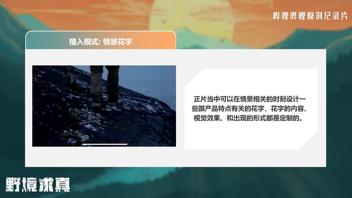 纪录片《野境求真》招商方案.pdf