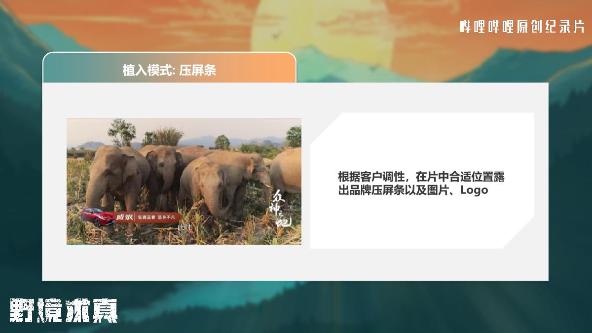 纪录片《野境求真》招商方案.pdf