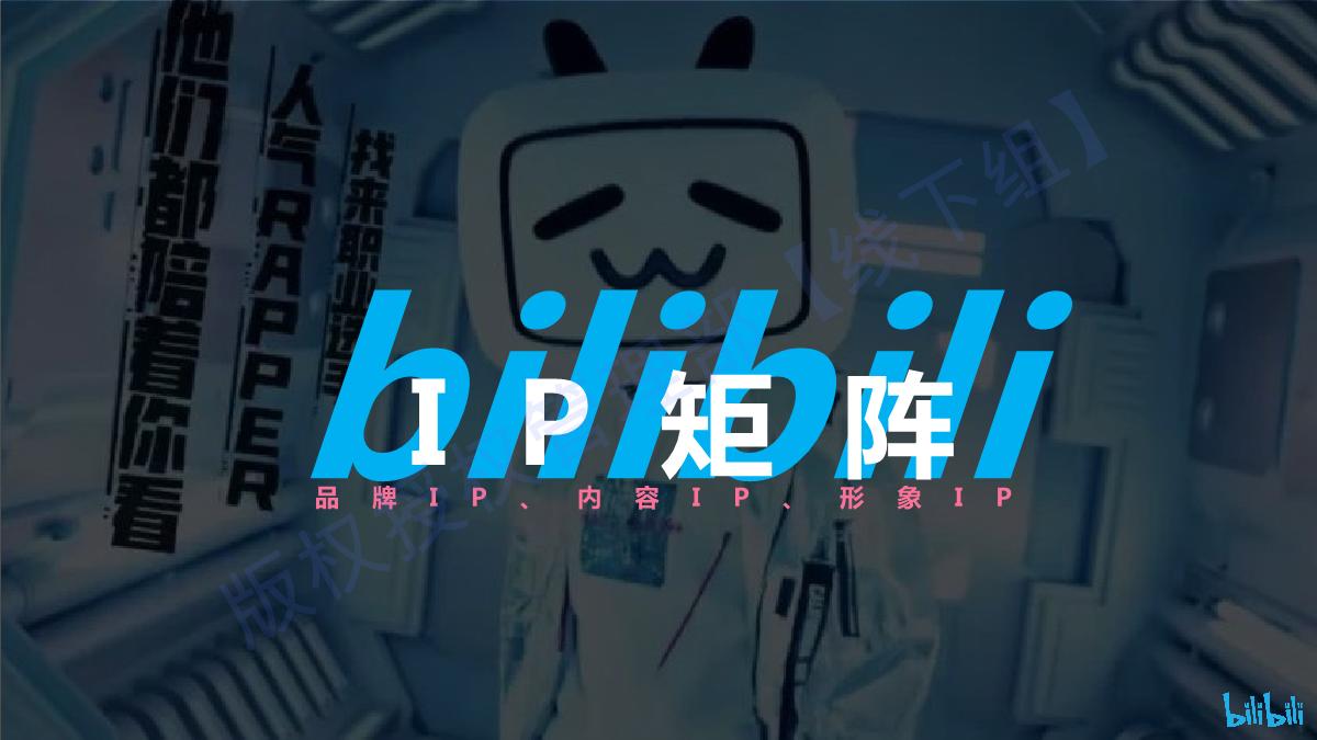 品牌手册丨bilibili线下空间授权手册.pdf