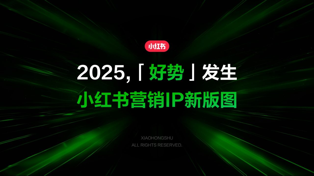 2025小红书营销IP新版图PPT案例-279页