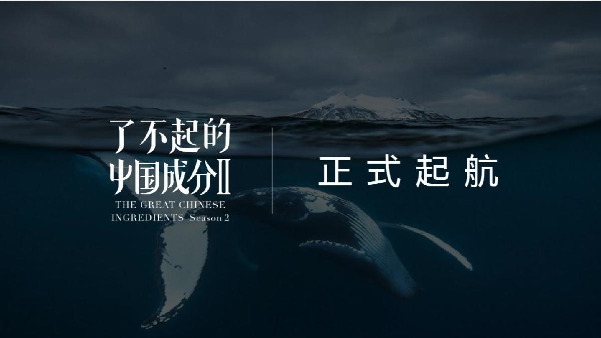 《了不起的中国成分》.pdf