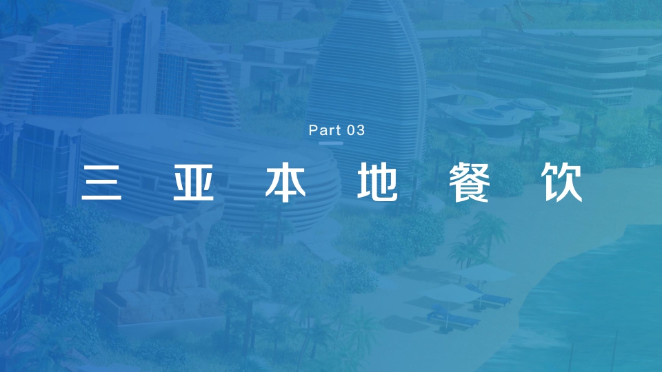 【抖音】数探三亚·美好城市生活.pdf