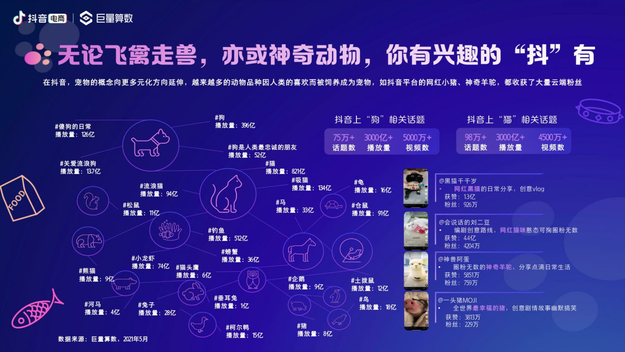 2021抖音电商宠物经济洞察报告.pdf