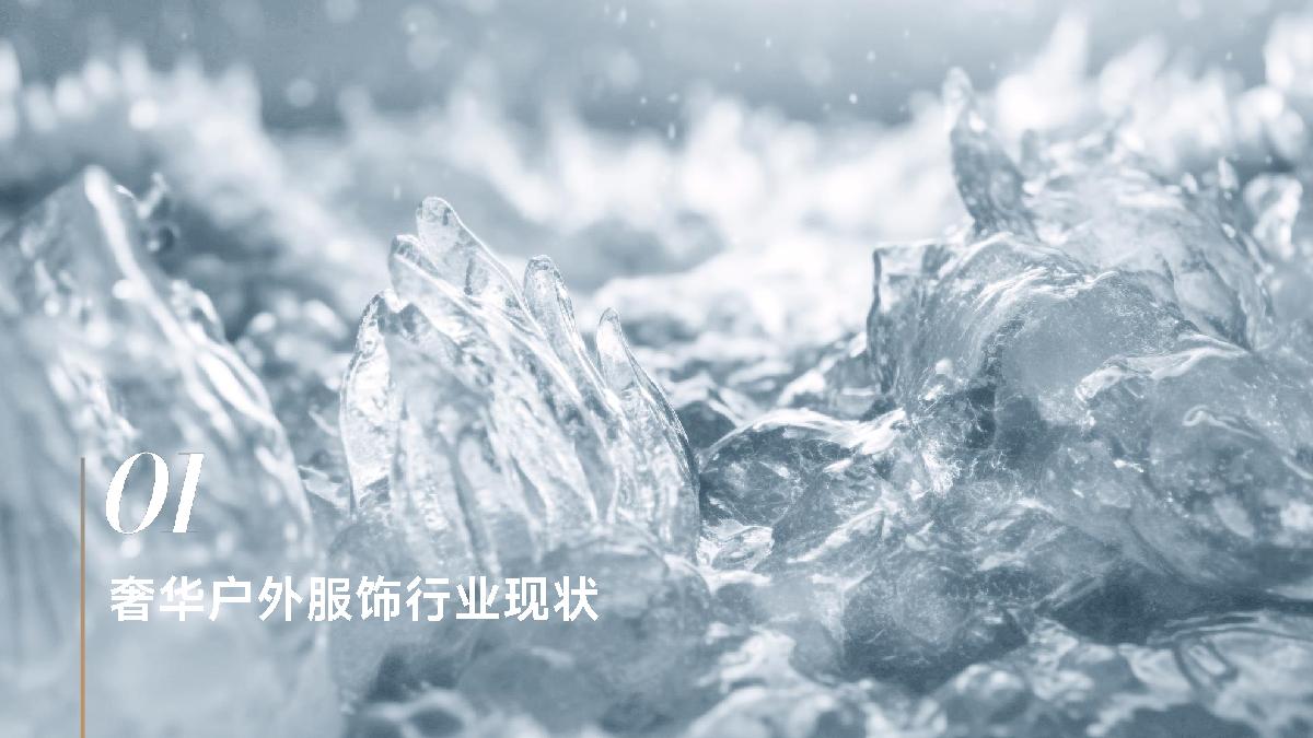 2024奢华户外服饰流行趋势白皮书-抖音商城×抖in新风潮×CBNData-22页.pdf