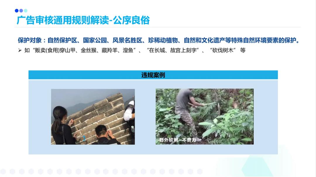 搜索广告广审风控规则.pptx