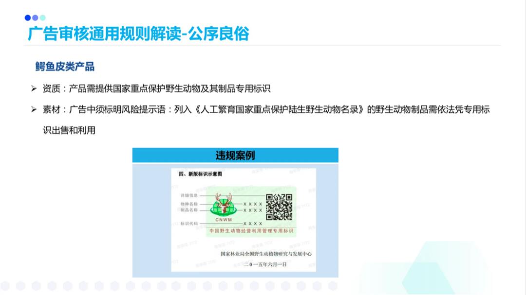 搜索广告广审风控规则.pptx