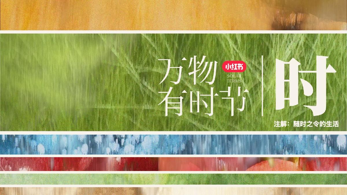 小红书【万物有时节·冬季篇】IP招商方案-2024.pdf