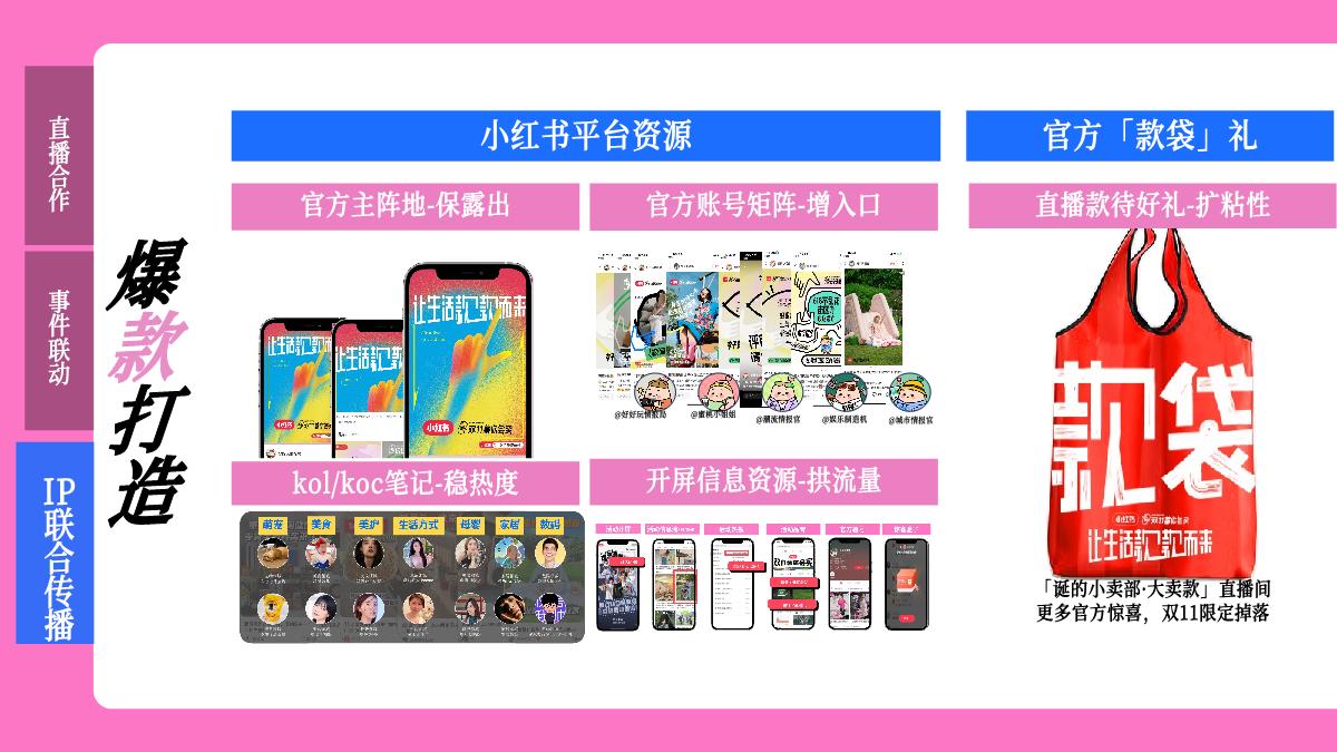 小红书x李诞【双11薯你会买】合作方案.pdf