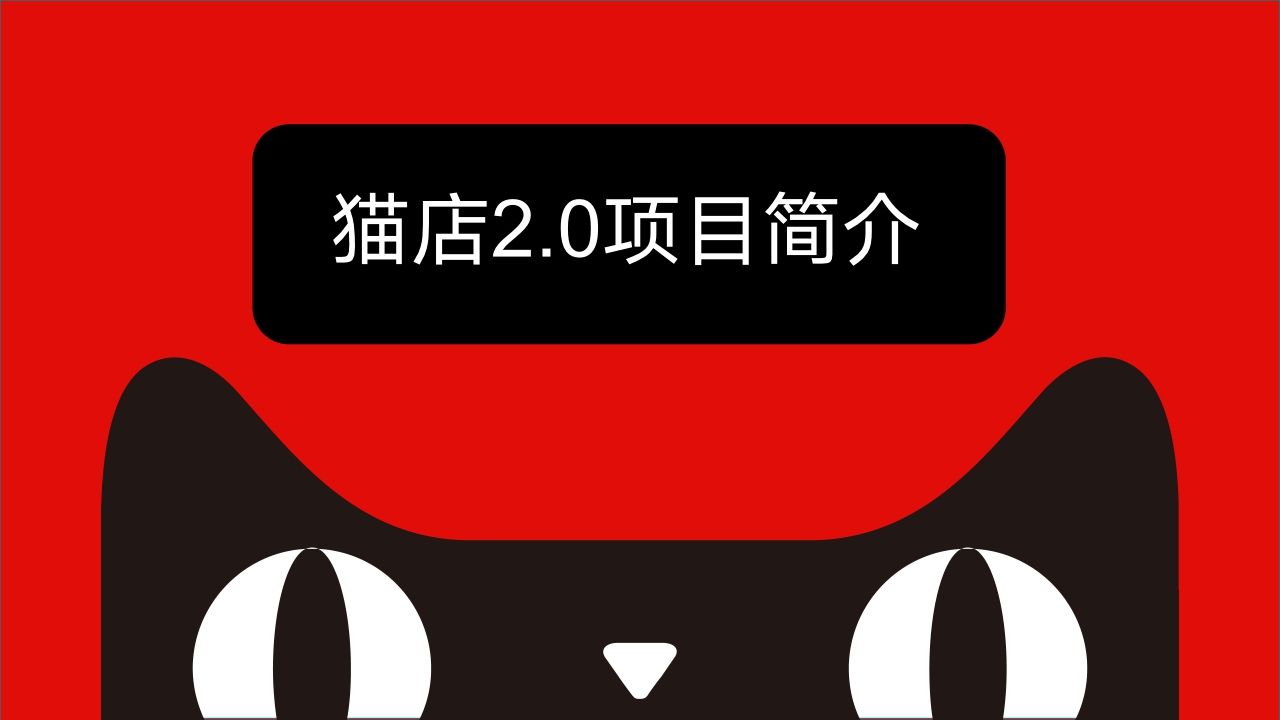 猫店小店拓店终极版.pdf