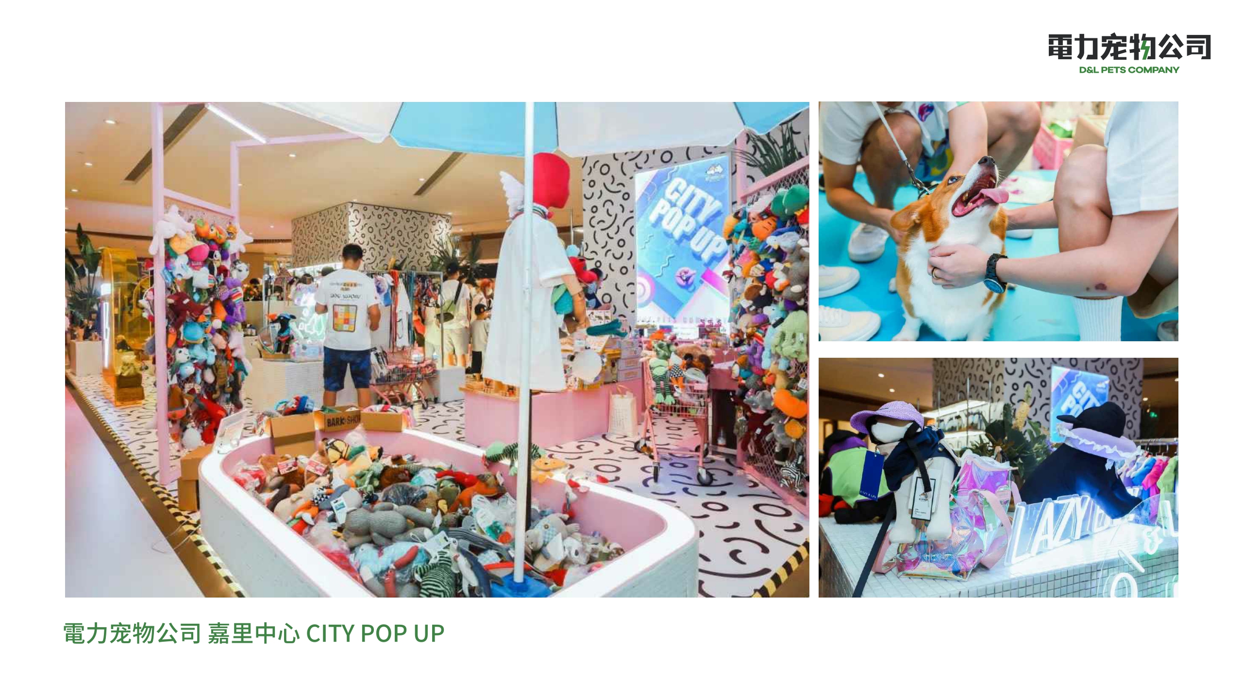 品牌手册丨電力宠物公司品牌介绍.pdf