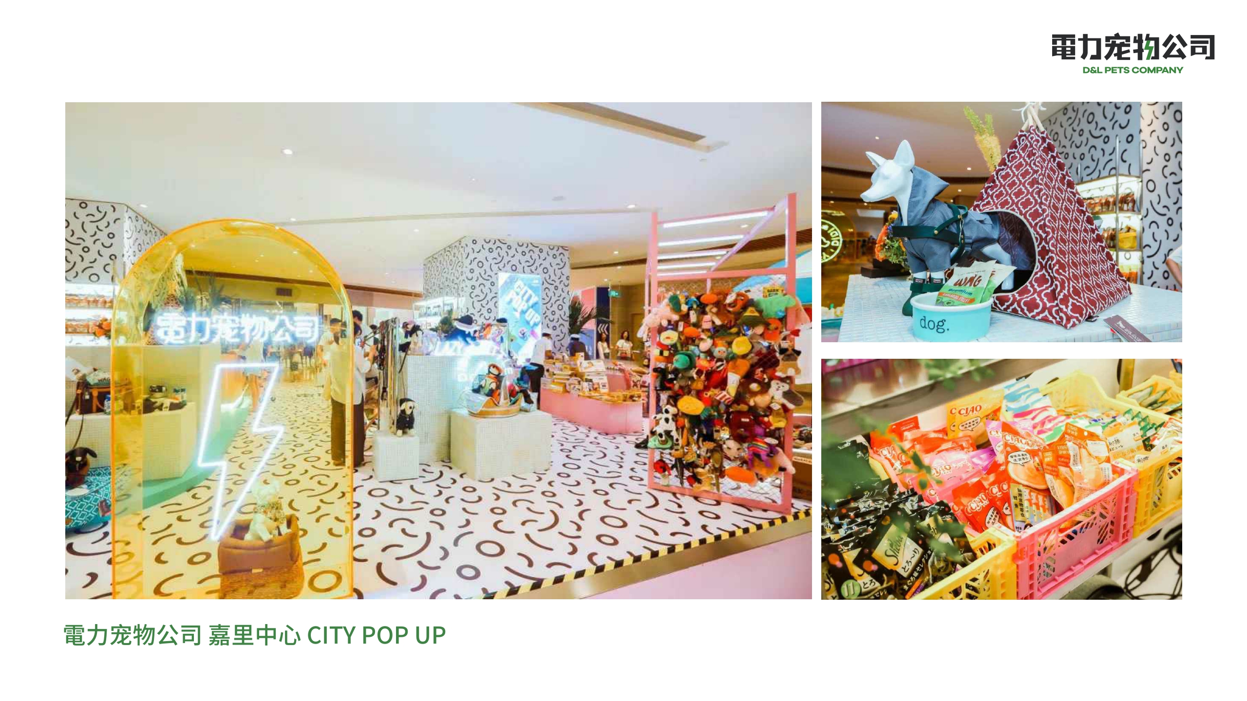 品牌手册丨電力宠物公司品牌介绍.pdf