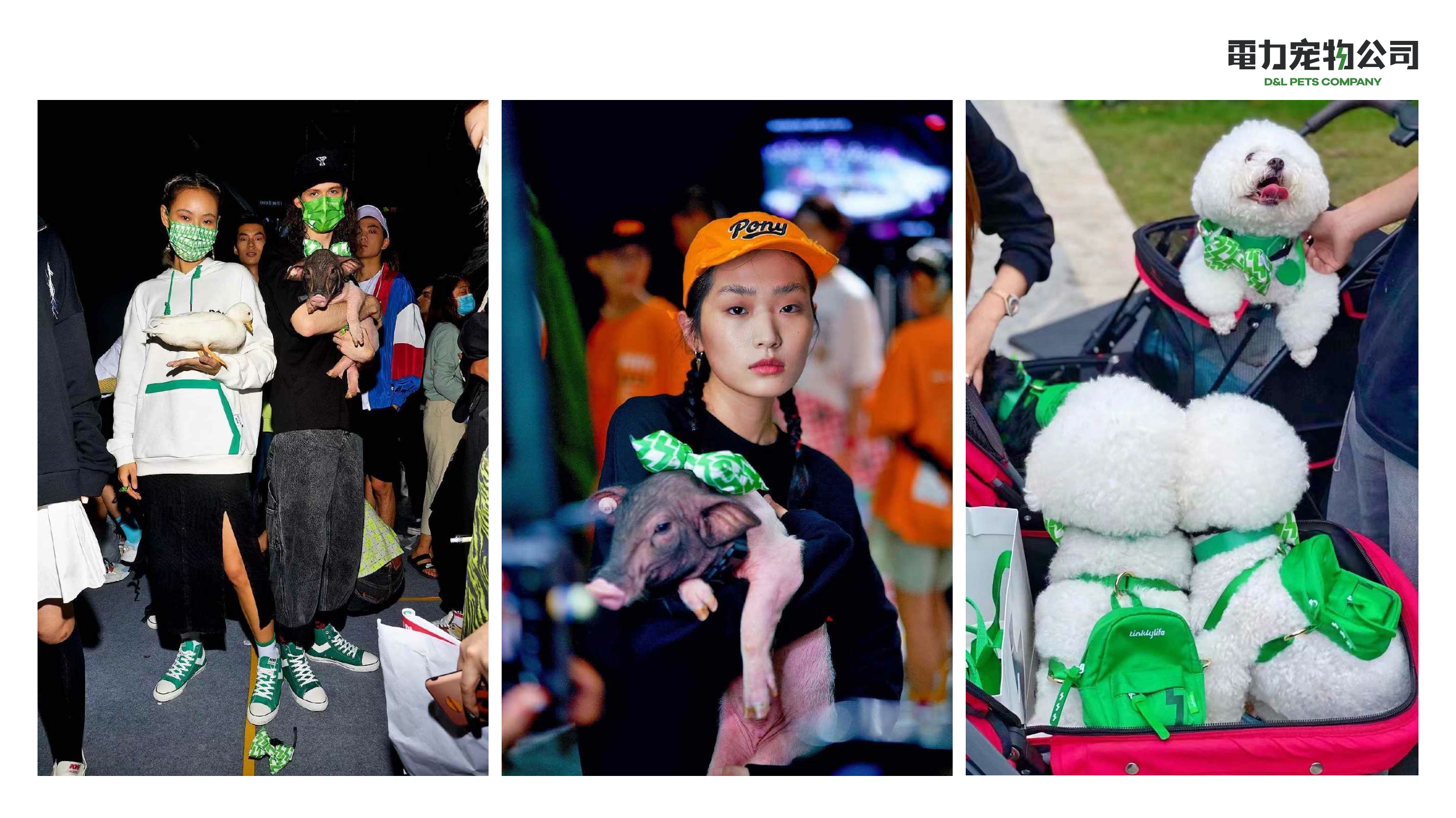 品牌手册丨電力宠物公司品牌介绍.pdf