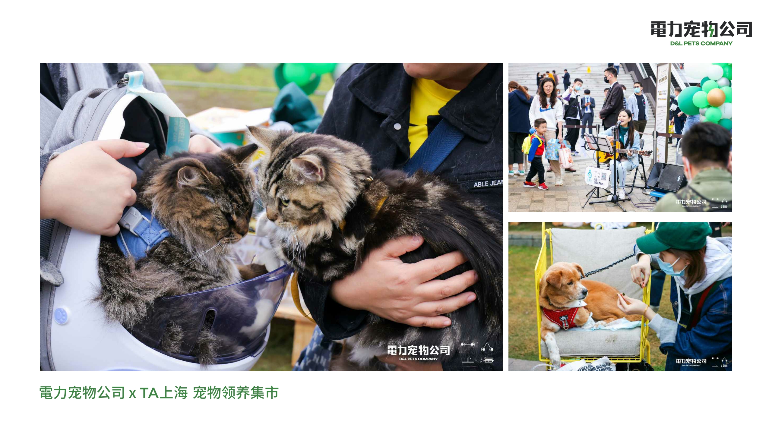 品牌手册丨電力宠物公司品牌介绍.pdf