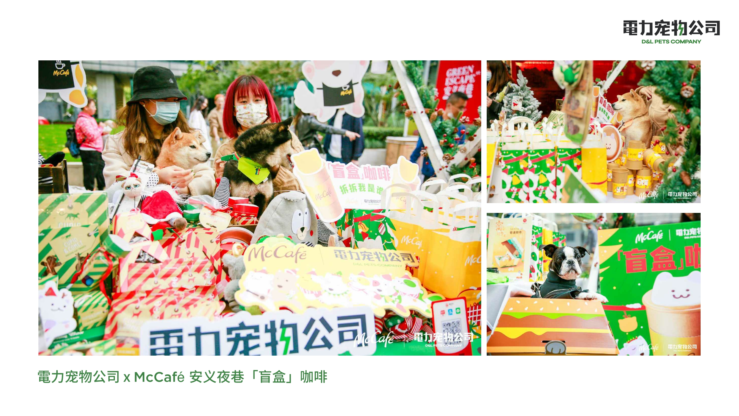 品牌手册丨電力宠物公司品牌介绍.pdf