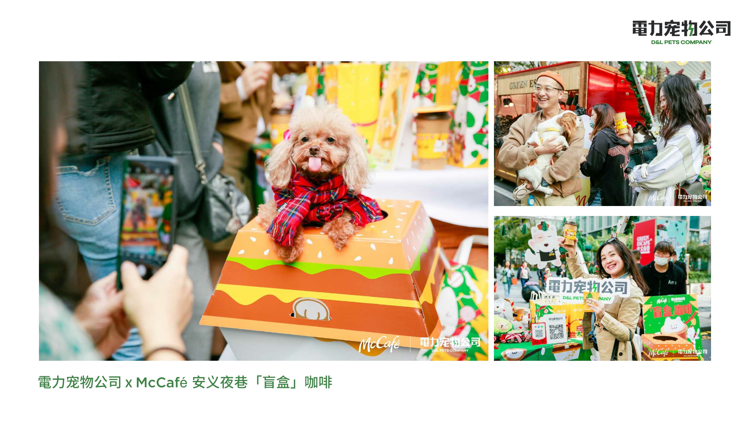 品牌手册丨電力宠物公司品牌介绍.pdf