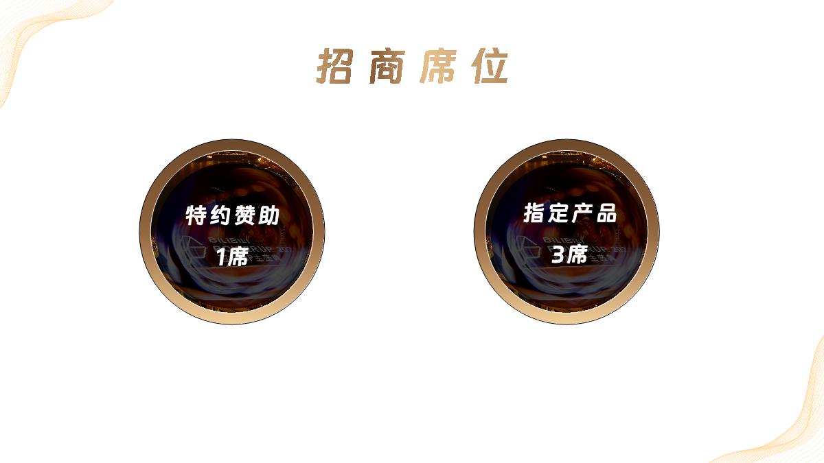 1029-2024百大UP主盛典招商通案.pdf