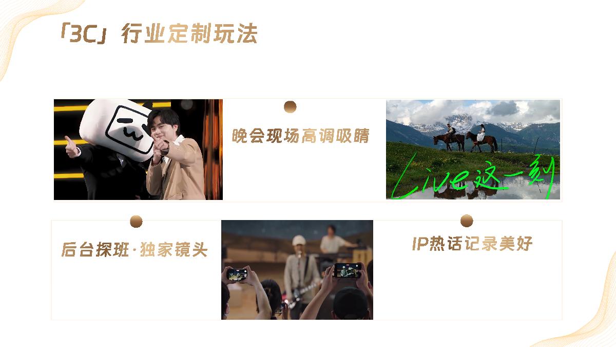 1029-2024百大UP主盛典招商通案.pdf