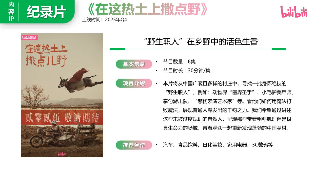 2025年哔哩哔哩纪录片操作指南.pdf