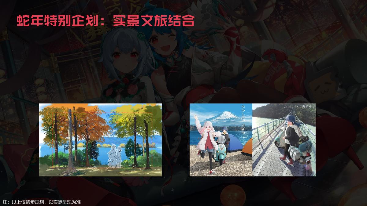 哔哩哔哩2025拜年纪招商方案.pdf