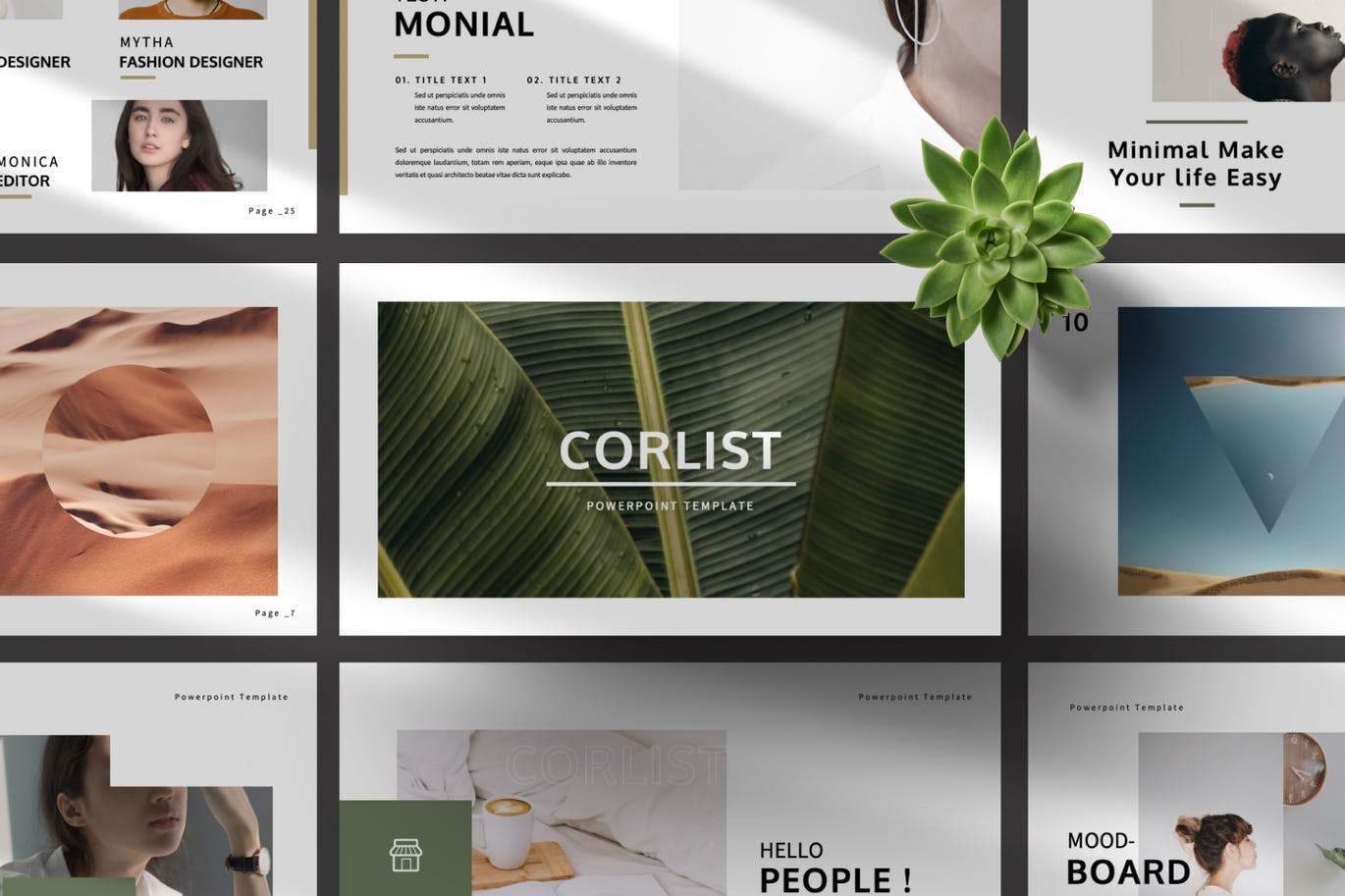 优雅时尚高端清新简约多用途的高品质powerpoint幻灯片演示模板（pptx）