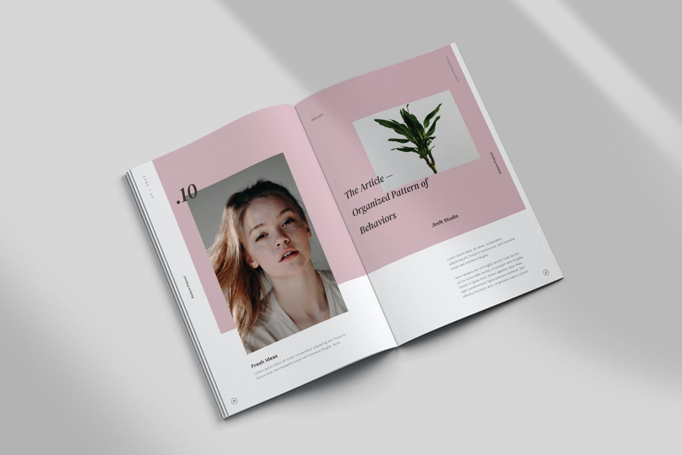 时尚高端简约优雅垂直画册风格的powerpoint幻灯片演示模板（pptx）