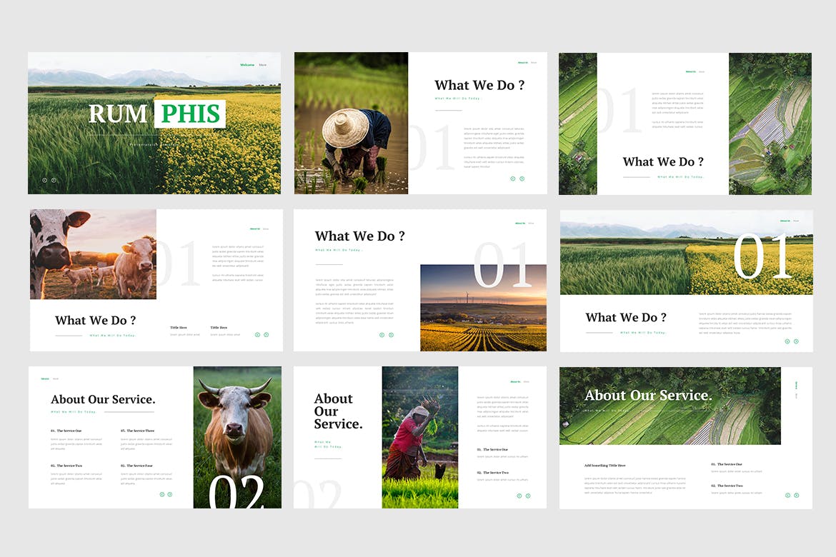 简约时尚优雅健康绿色生态农业展示powerpoint幻灯片演示模板（pptx）