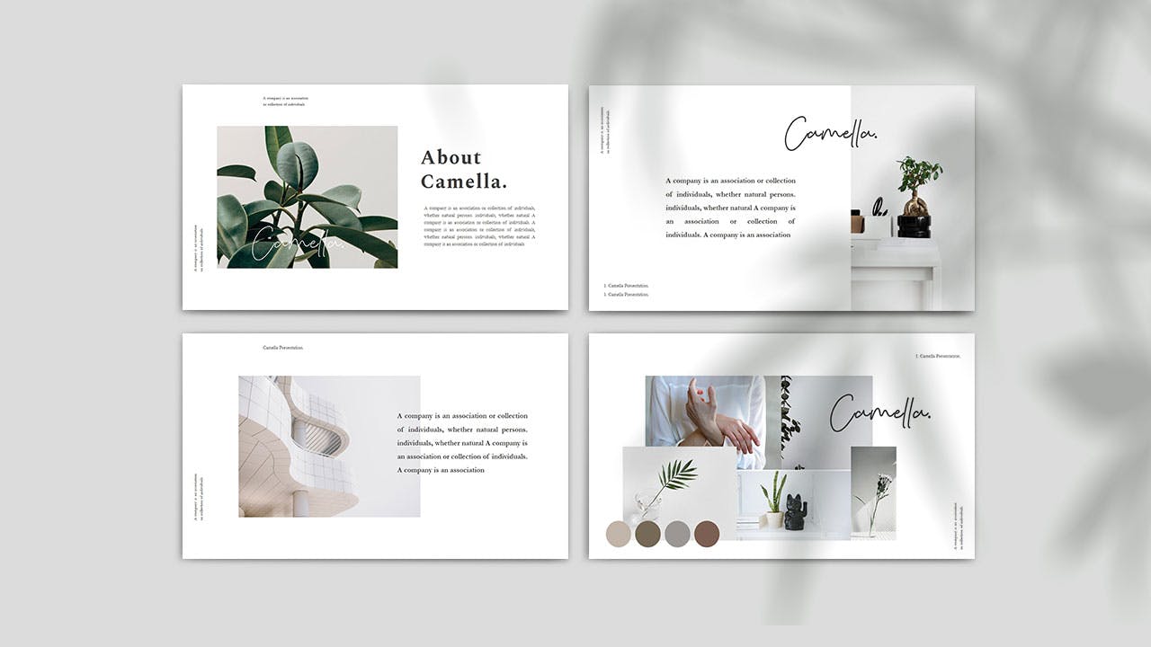 极简风格的优雅powerpoint幻灯片演示模板（pptx）